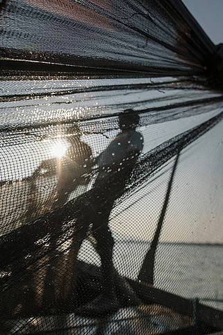  Fishermen working on a boat pulling in their catch of small, unsustainably caught fish 