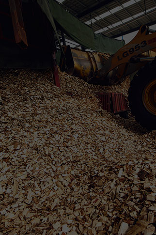  Wood chips that were purchased in the market are being unloaded at Zao Zhuang Hua Run Paper Co., Ltd. China 