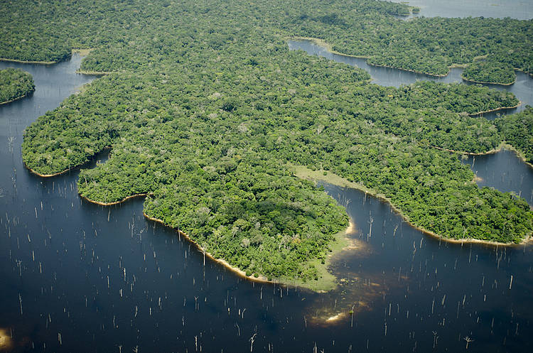  An aerial photograph of the Uatumã Biological Reserve in the state of Amazonas in Brazil. Uatumã Biological Reserve is part of the Amazon Region Protected Areas (ARPA) 