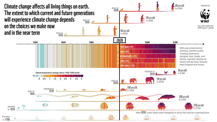  A visualisation based on IPCC data shows how climate change affects generation of species on our planet, from humans to corals. 