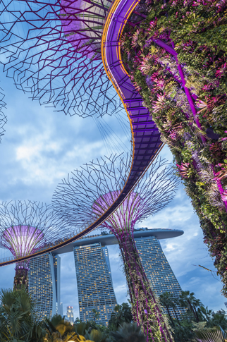  Gardens by the Bay, Singapore 