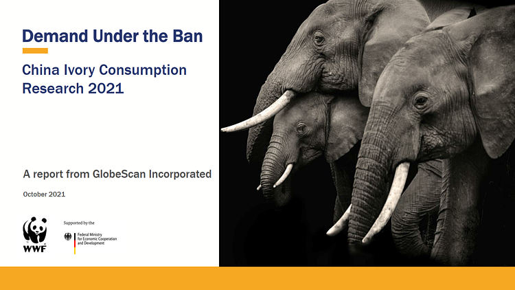  Demand under the ban - China elephant ivory consumption Research 2021 